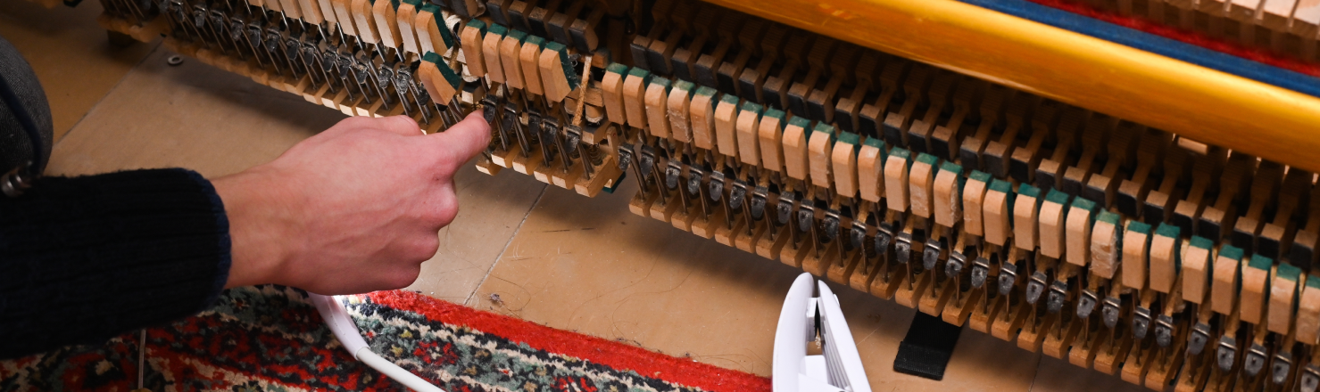 A technician tuning and repairing the internal mechanics of a piano, focusing on the wooden hammers
