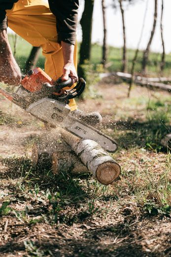 Person in yellow pants using a chainsaw to cut a log outdoors, wood chips flying.