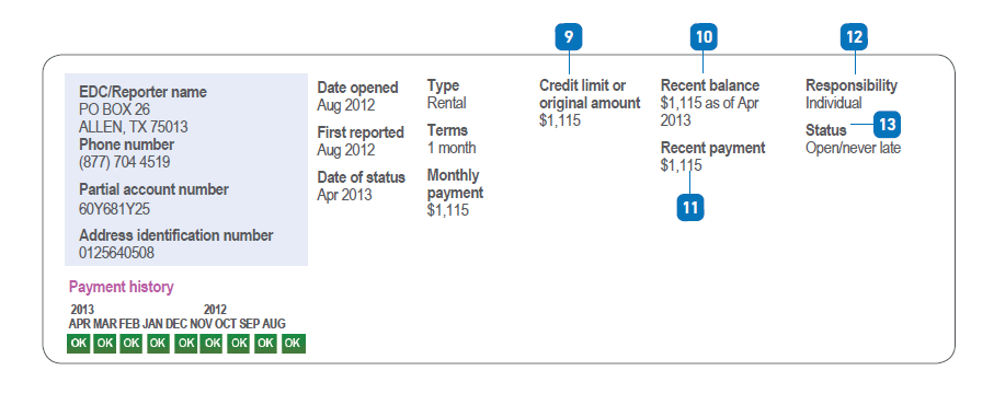 Credit report summary diagram with sections for reporter name, account details, payment history, and statuses.