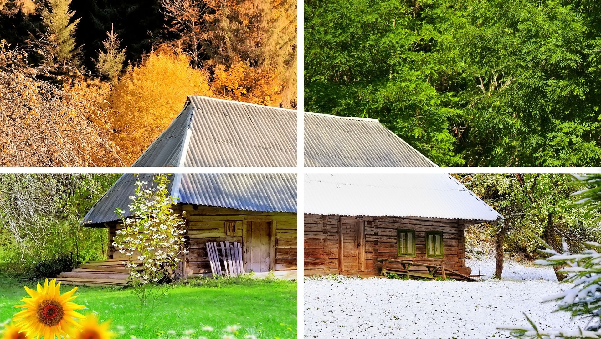 Houses under a sunny sky with