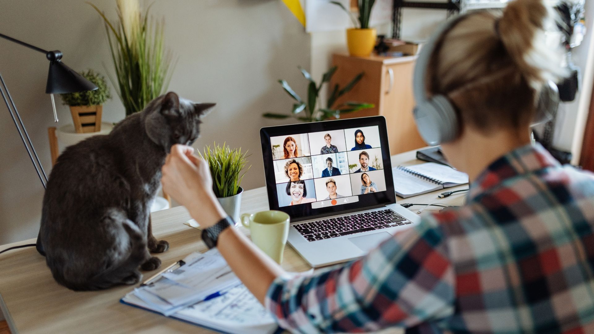 Person with headphones at desk with cat, on video call via laptop, surrounded by papers, notebook, cup, and plants.
