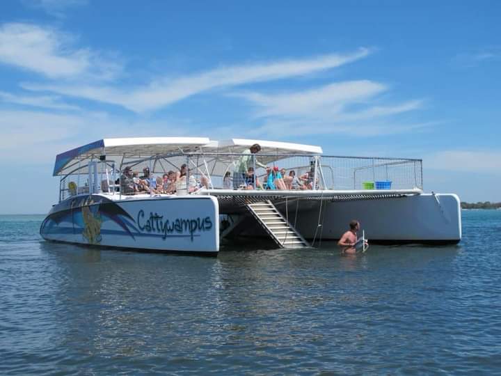 Snorkeling Crab Island