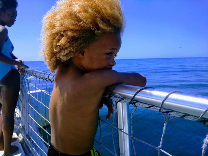 Kids on Dolphin Tour