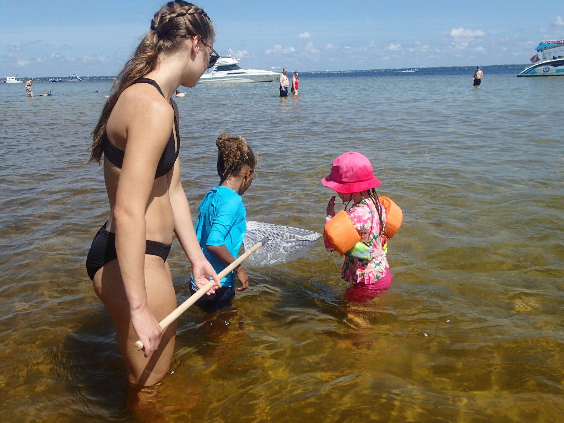 Catching fish with nets