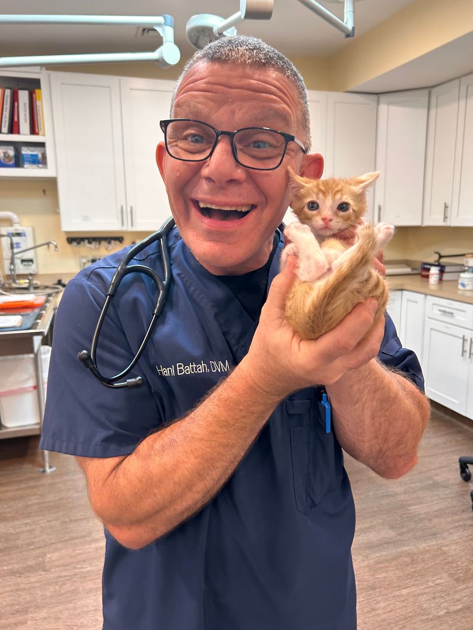 Smiling man in blue scrubs holding a tiny orange kitten in a clinic room
