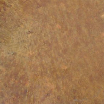 Close-up of a mottled brown and tan textured surface