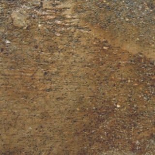 Close-up of a rough brown and tan stone or dirt surface with mottled texture