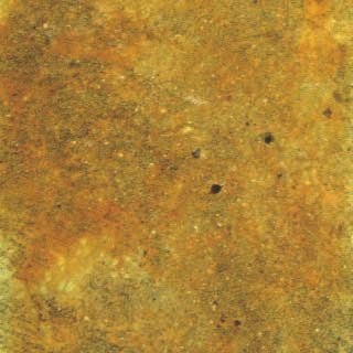 Close-up of a mottled yellow-brown textured surface with small dark specks