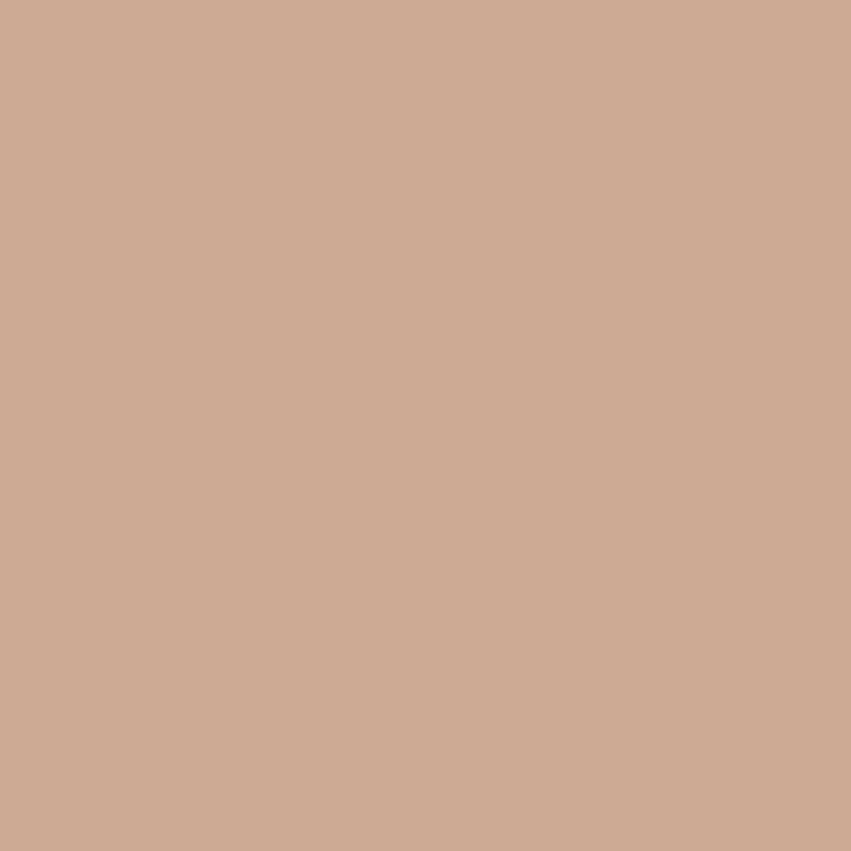 Solid beige background