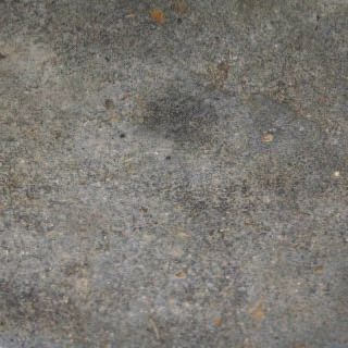 Gray, mottled concrete or stone surface with small specks and stains