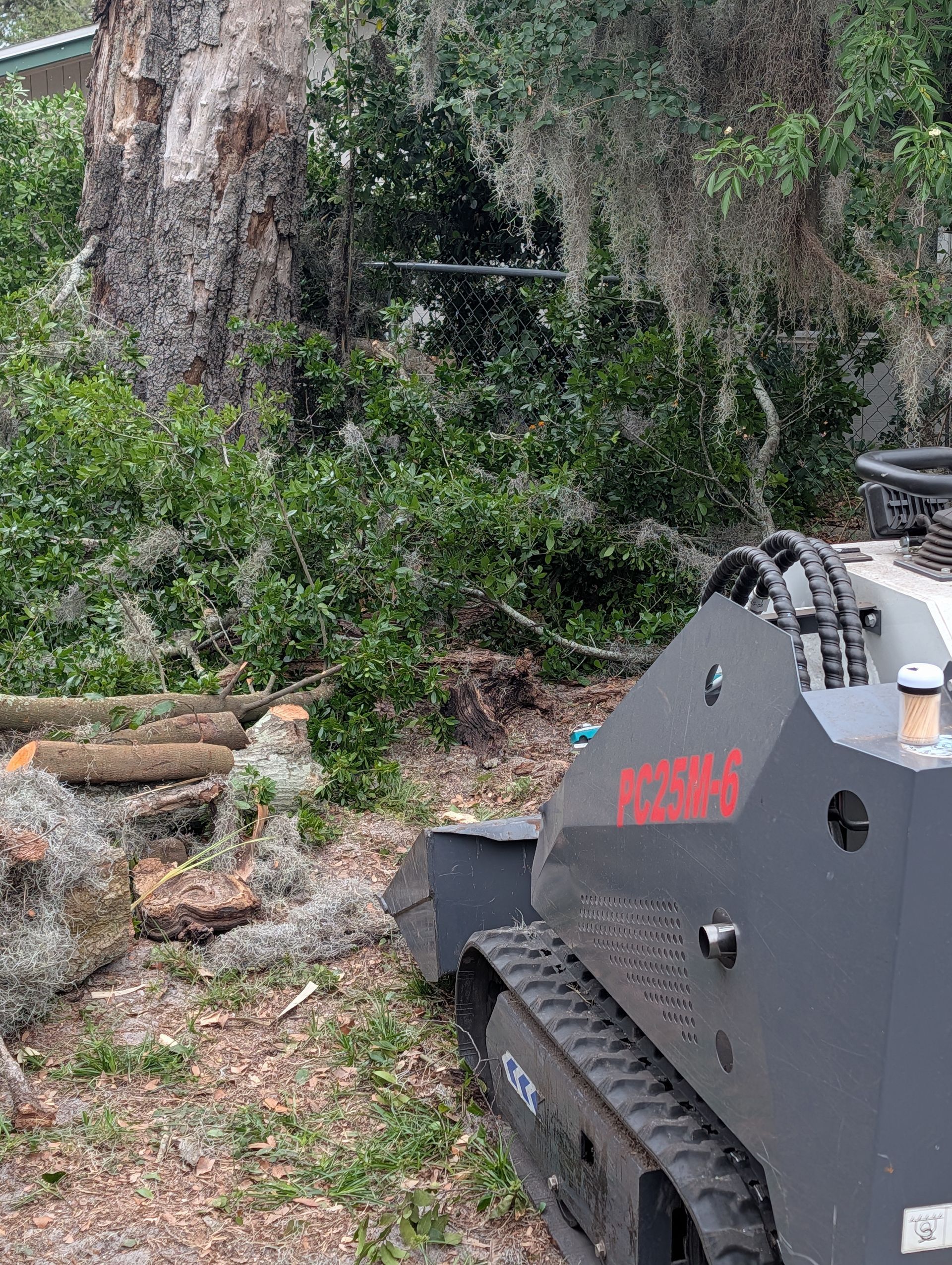 Gray tracked machine beside logs in a wooded area, with a large tree and bushes in the background