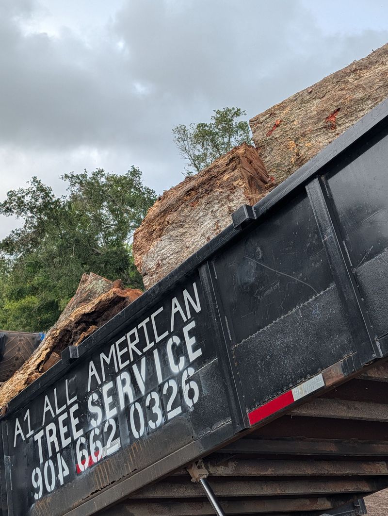 Black dump truck bed loaded with dirt and rocks on a roadside under cloudy sky