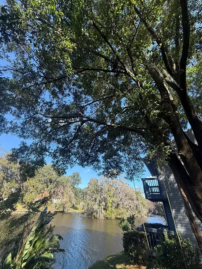 Shaded riverbank with trees over calm water and a small dock under a blue sky