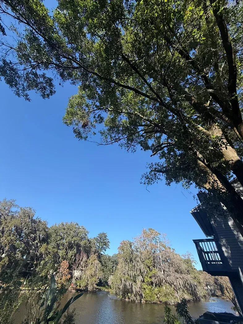 Calm river under blue sky, framed by trees and a wooden deck on the right
