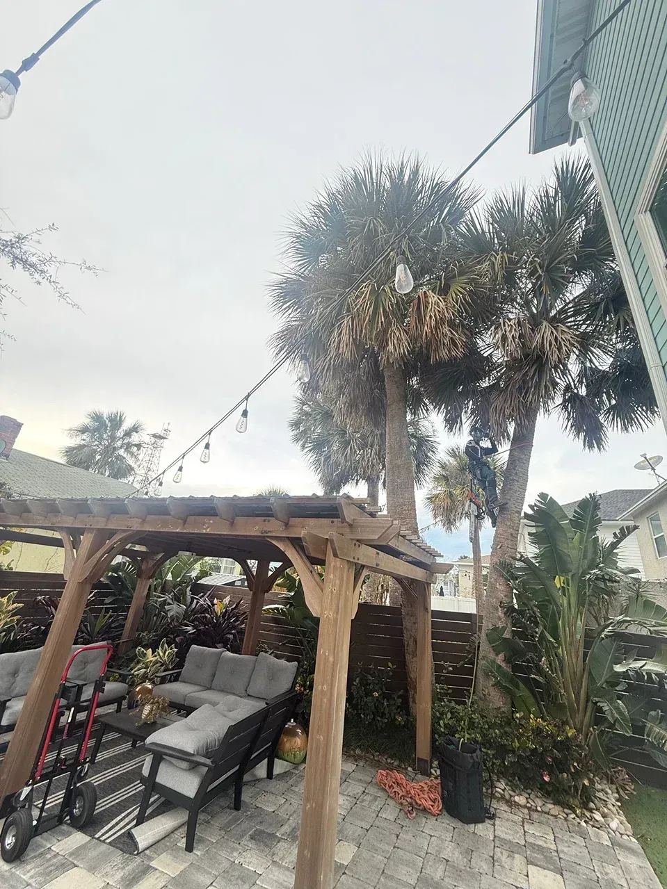 Backyard patio with wooden pergola, cushioned chair, palm trees, and potted plants under bright sky