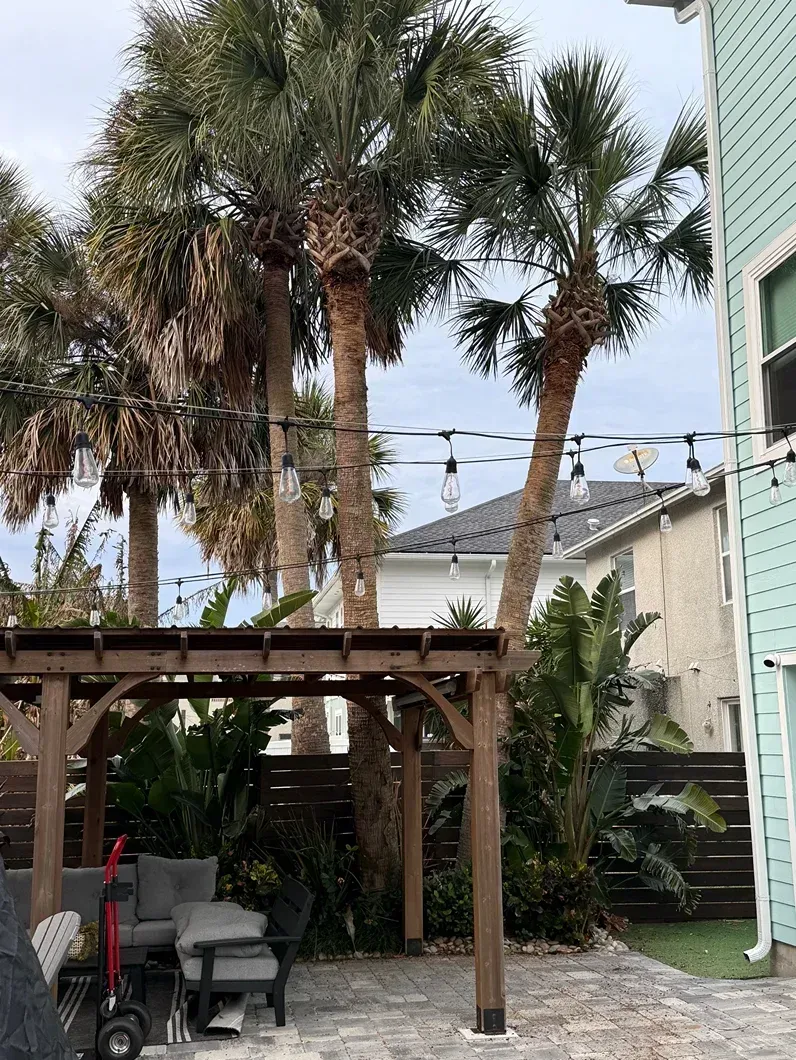 Backyard patio with palm trees, string lights, and a wooden pergola beside a house