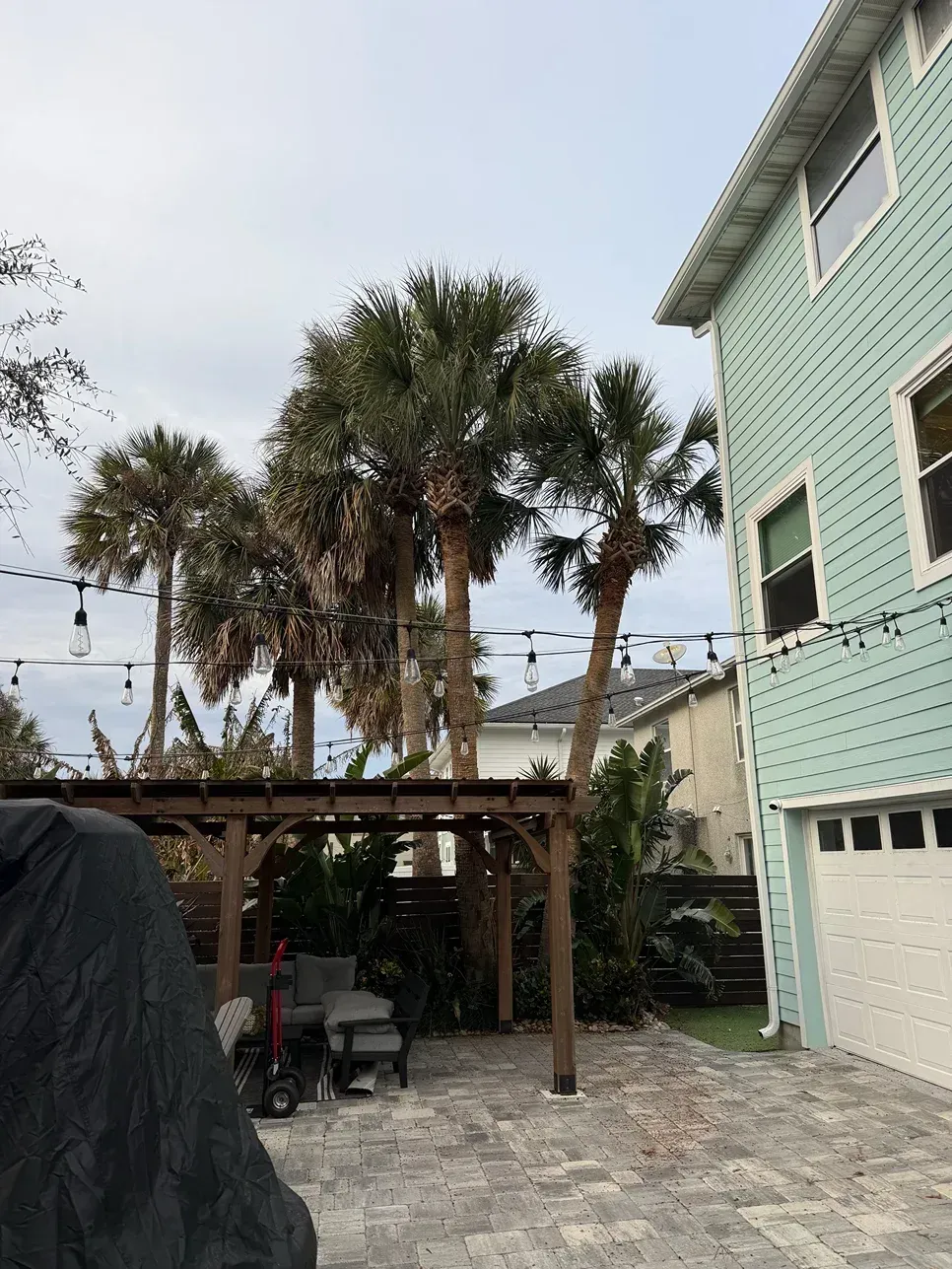 Courtyard with palm trees, wooden pergola, and a mint-green house beside a paved patio.