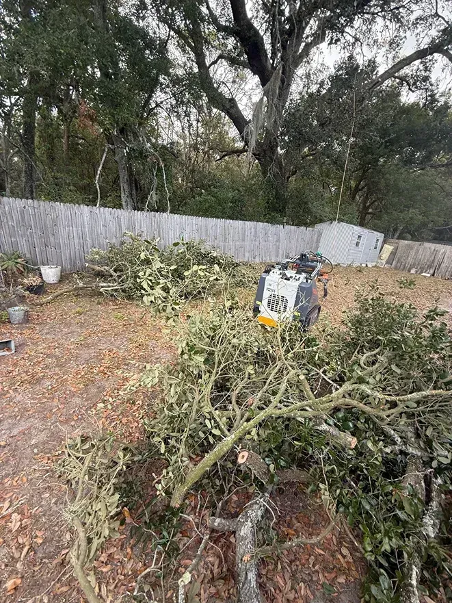 Yard with fallen tree branches, a stump grinder, and a corrugated metal fence under tall trees