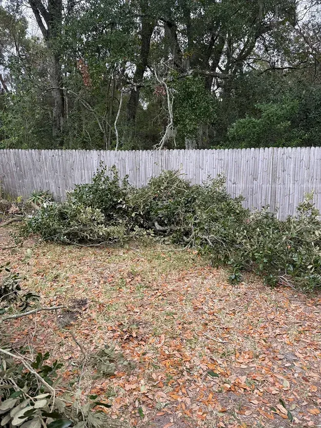Backyard with fallen leaves, trimmed branches, and a white fence