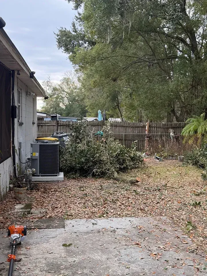 Backyard with a patio, AC unit, fallen leaves, shrubs, fence, and a large tree behind a house