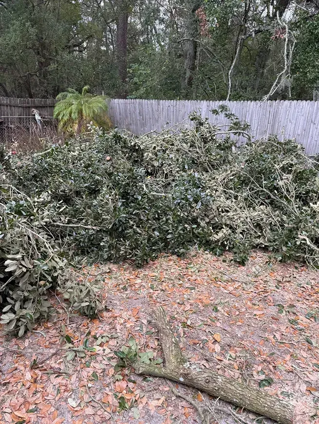 A large pile of fallen tree branches and leaves in a backyard near a fence and trees.