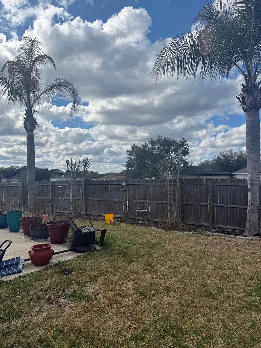 Backyard with wooden fence, palm trees, potted plants, and cloudy sky over grassy lawn