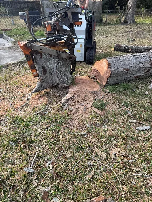 Tree stump grinder chewing a large log in a grassy yard, with wood chips scattered around.