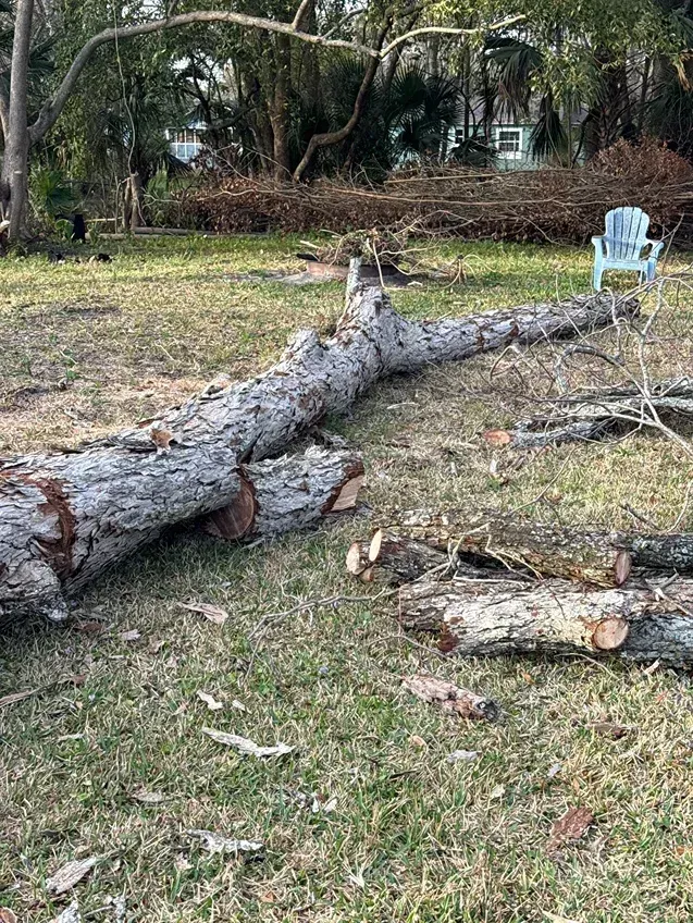 Large fallen tree trunk on a grassy yard with a blue chair in the background