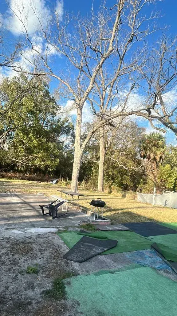 Outdoor training area with green mats, a wheelchair, and large leafless trees under a blue sky
