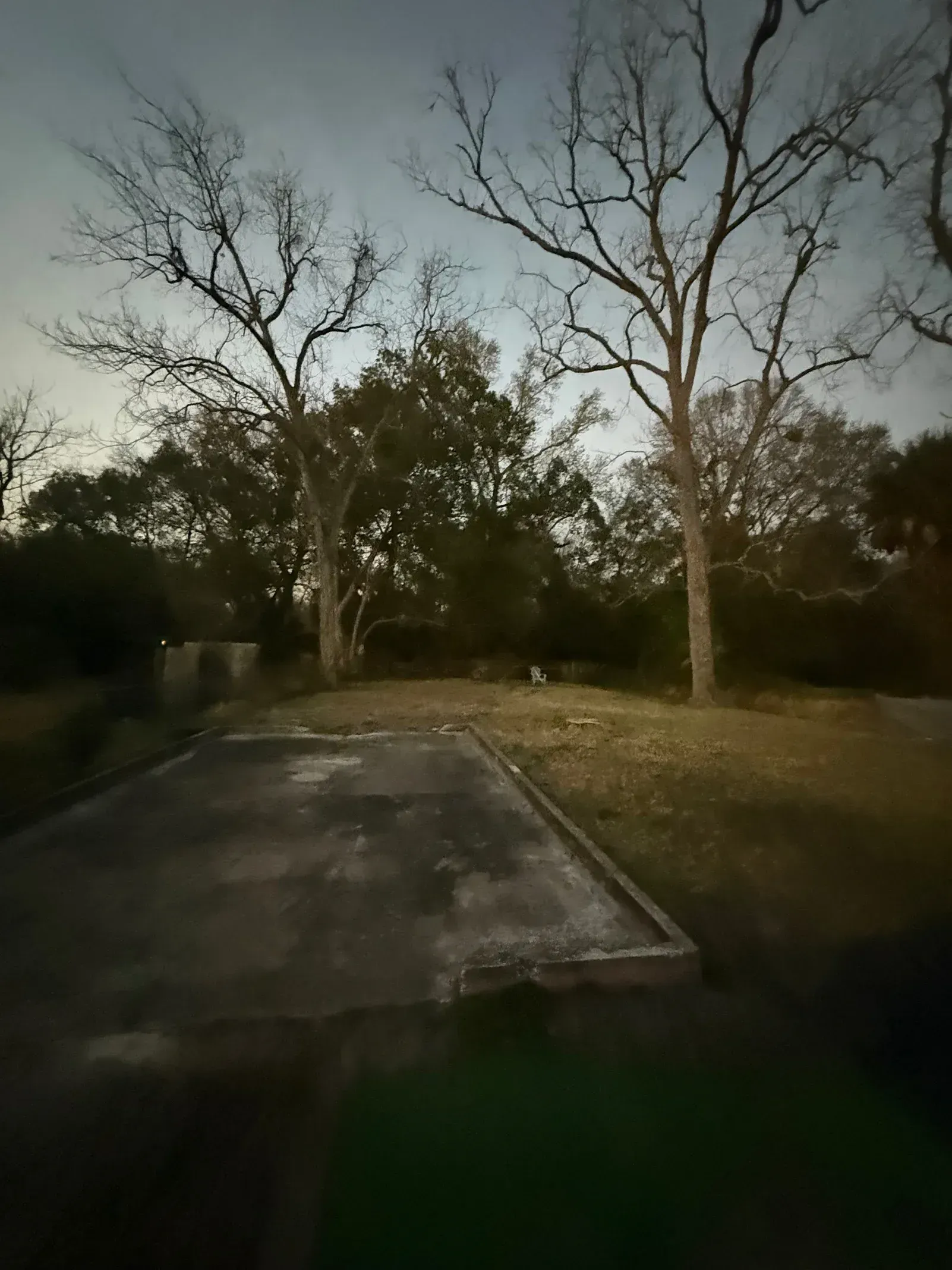 Dim park path beside leafless trees at dusk