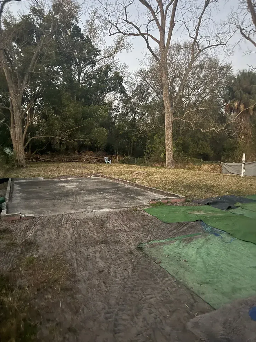 Muddy yard with tarps, trees, and a leaf-covered ground in late autumn.