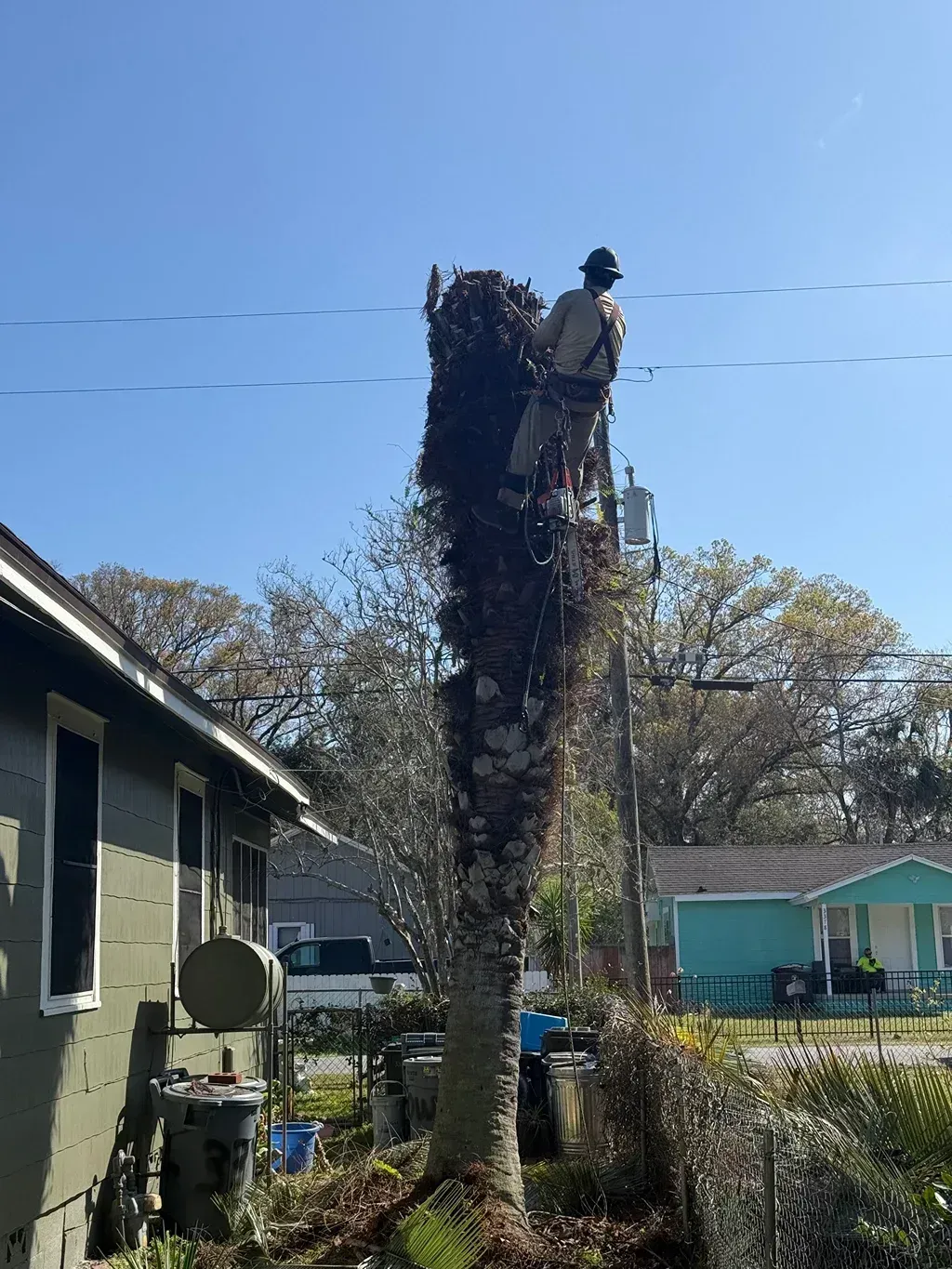 Person trimming a tall tree stump in a backyard next to houses and a utility line.