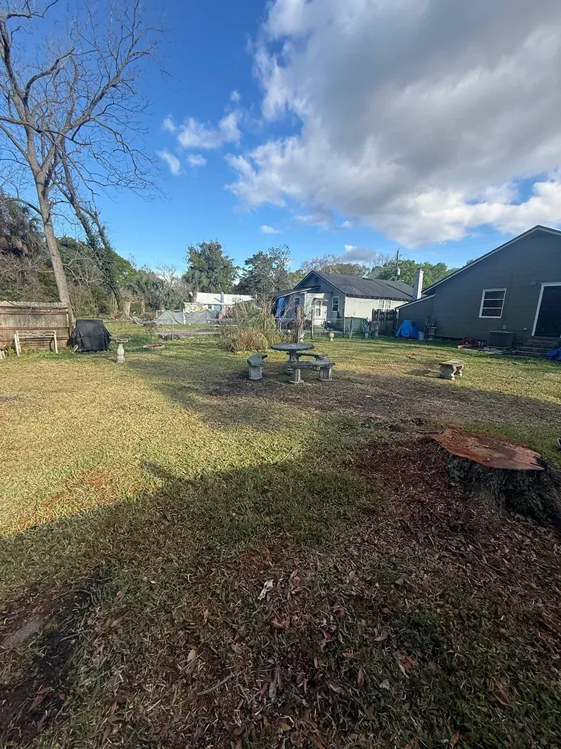 Backyard with leaf-covered ground, a fire pit, bare trees, and houses under a partly cloudy sky