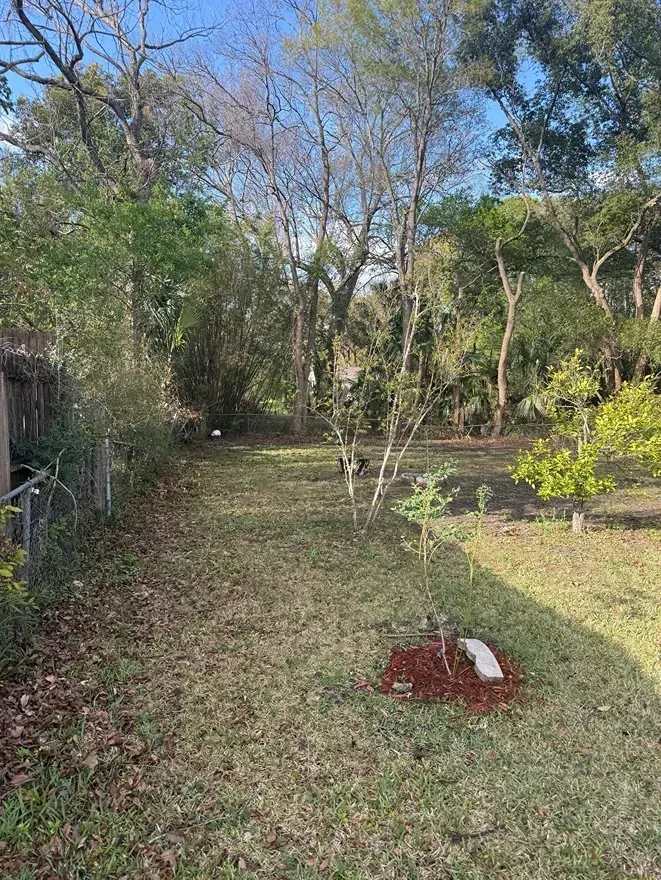 Grassy garden path bordered by trees and shrubs, with a red mulch pile in the foreground.