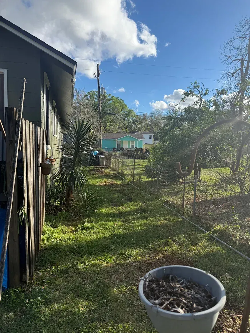 Sunny backyard with a weathered shed, grassy yard, and a blue house in the distance.