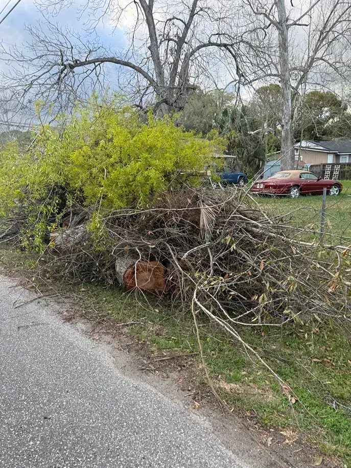 Large pile of cut branches and brush beside a roadside, with a red car and houses in the background.