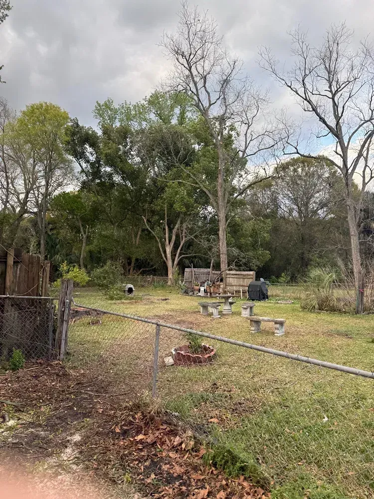 Rural yard with a chain-link fence, scattered trees, and a small playset under a cloudy sky