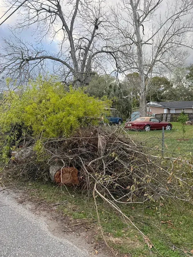 Large brush pile with tangled branches by a roadside, with a red car and house in the background.