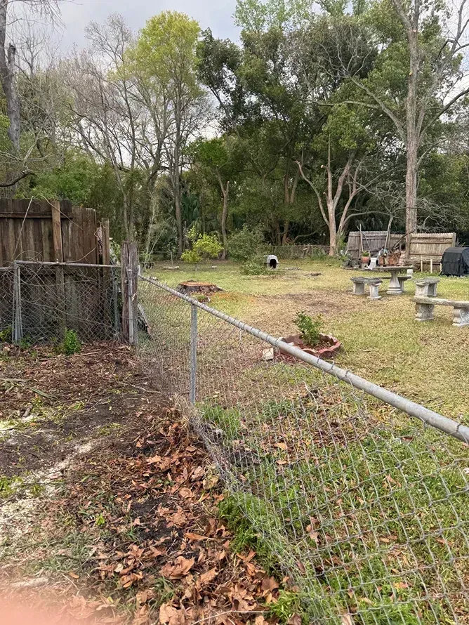 Backyard with chain-link fence, trees, and a small dog near a picnic table