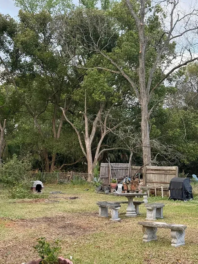 Backyard with stone benches, fire pit, and trees under an overcast sky