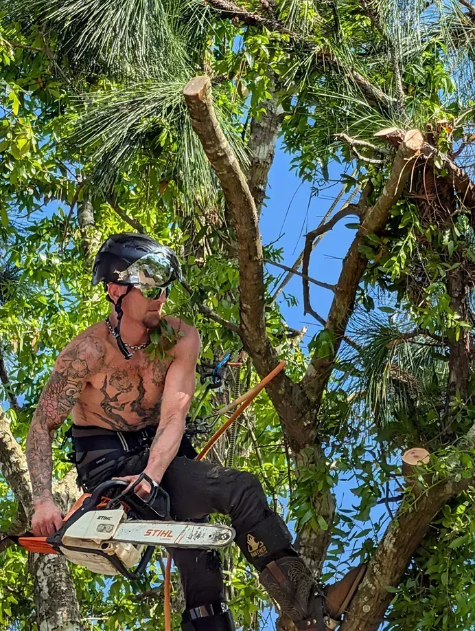Person wearing a helmet sits on a chainsaw-lifted tree branch amid cut limbs and green foliage.