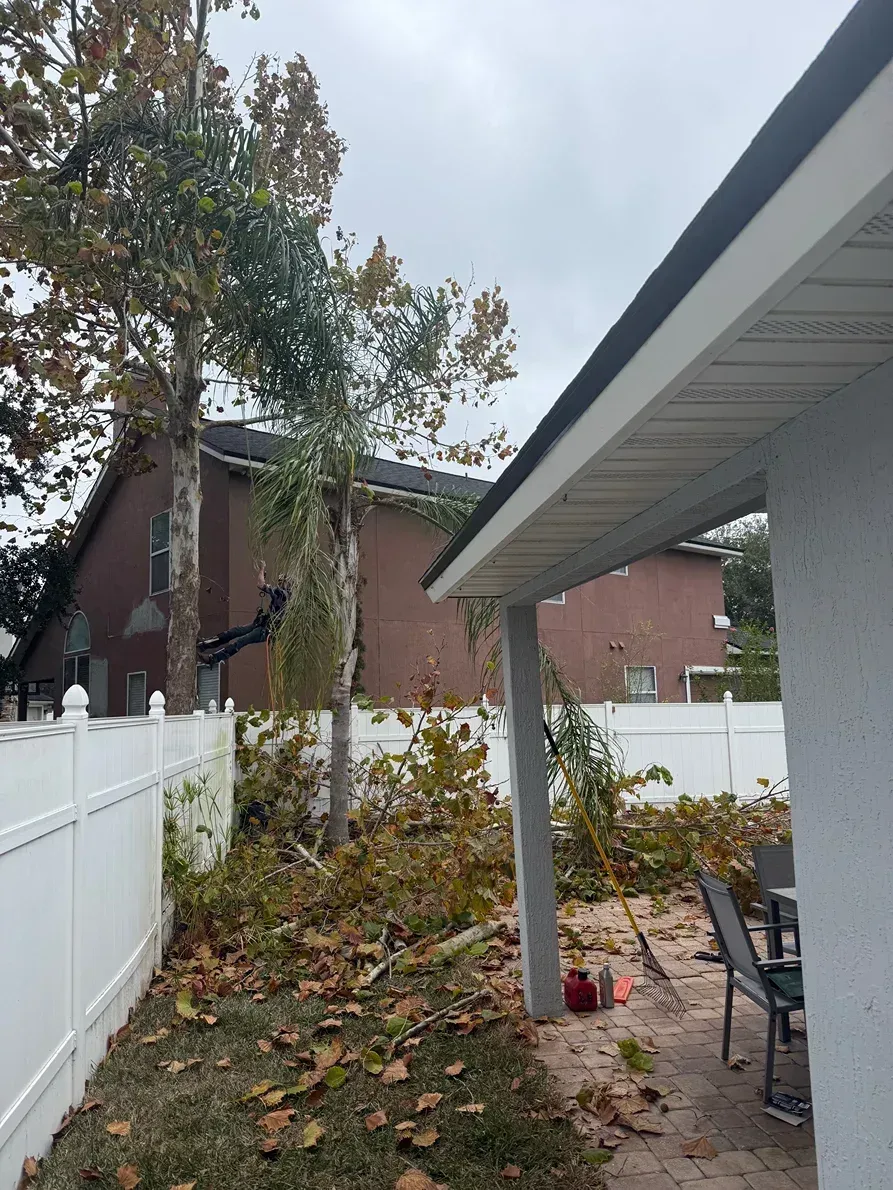 Backyard patio beside a white fence, brick house, and tall tree with fallen leaves on the ground