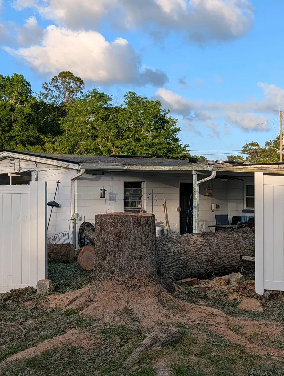 Backyard with a large pile of dirt and debris in front of a white shed and house under a cloudy blue sky