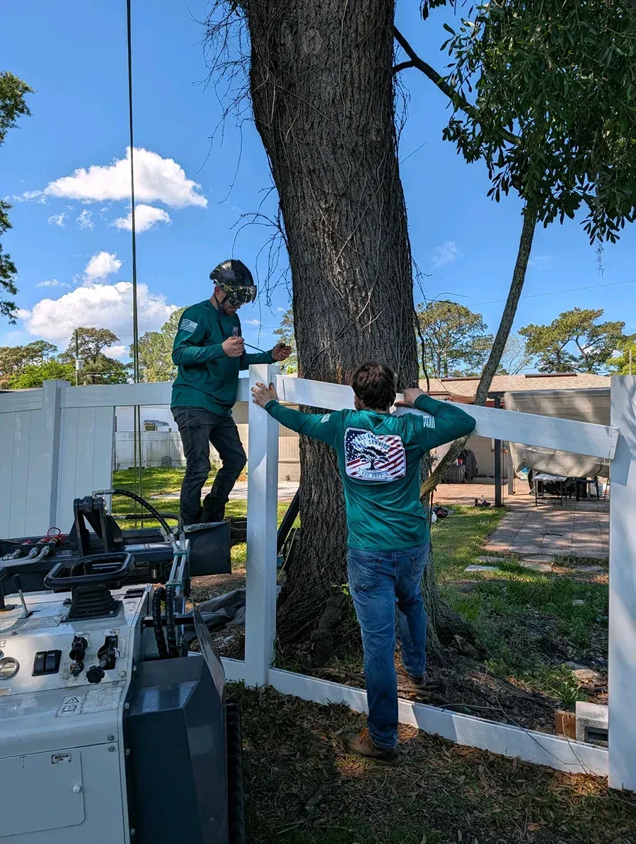 Two workers in green shirts install a white fence around a large tree outdoors.