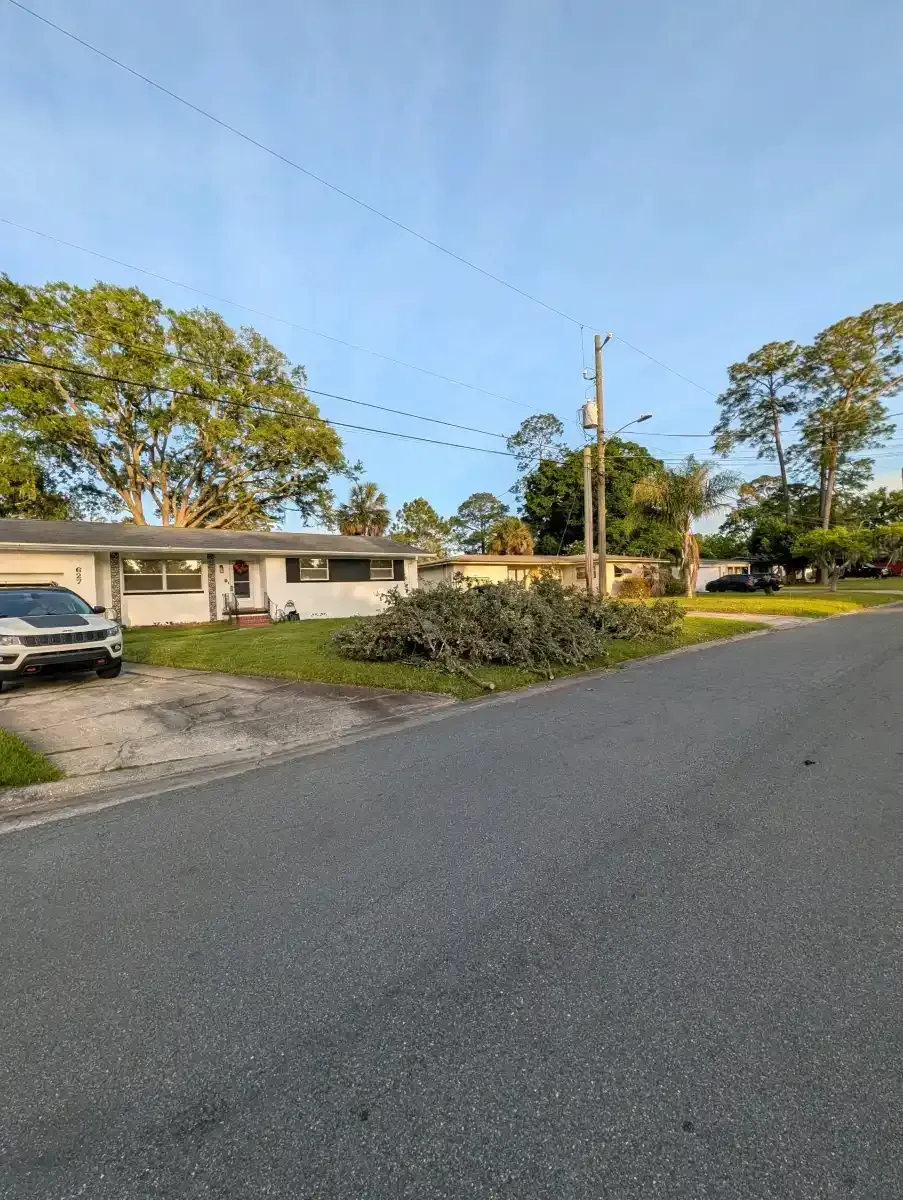 Quiet suburban street with a single-story house, driveway, parked car, and trees under a clear blue sky.