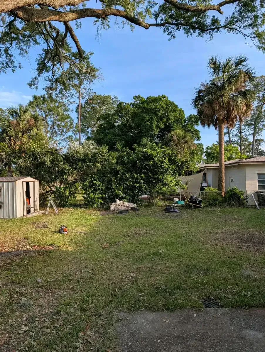 Backyard with grass, trees, a small shed, and a house under a clear blue sky