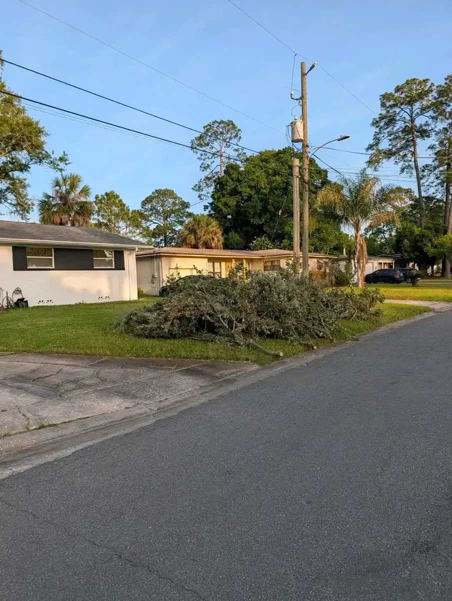 Residential street with a large pile of tree branches by the curb, houses, utility poles, and evening light