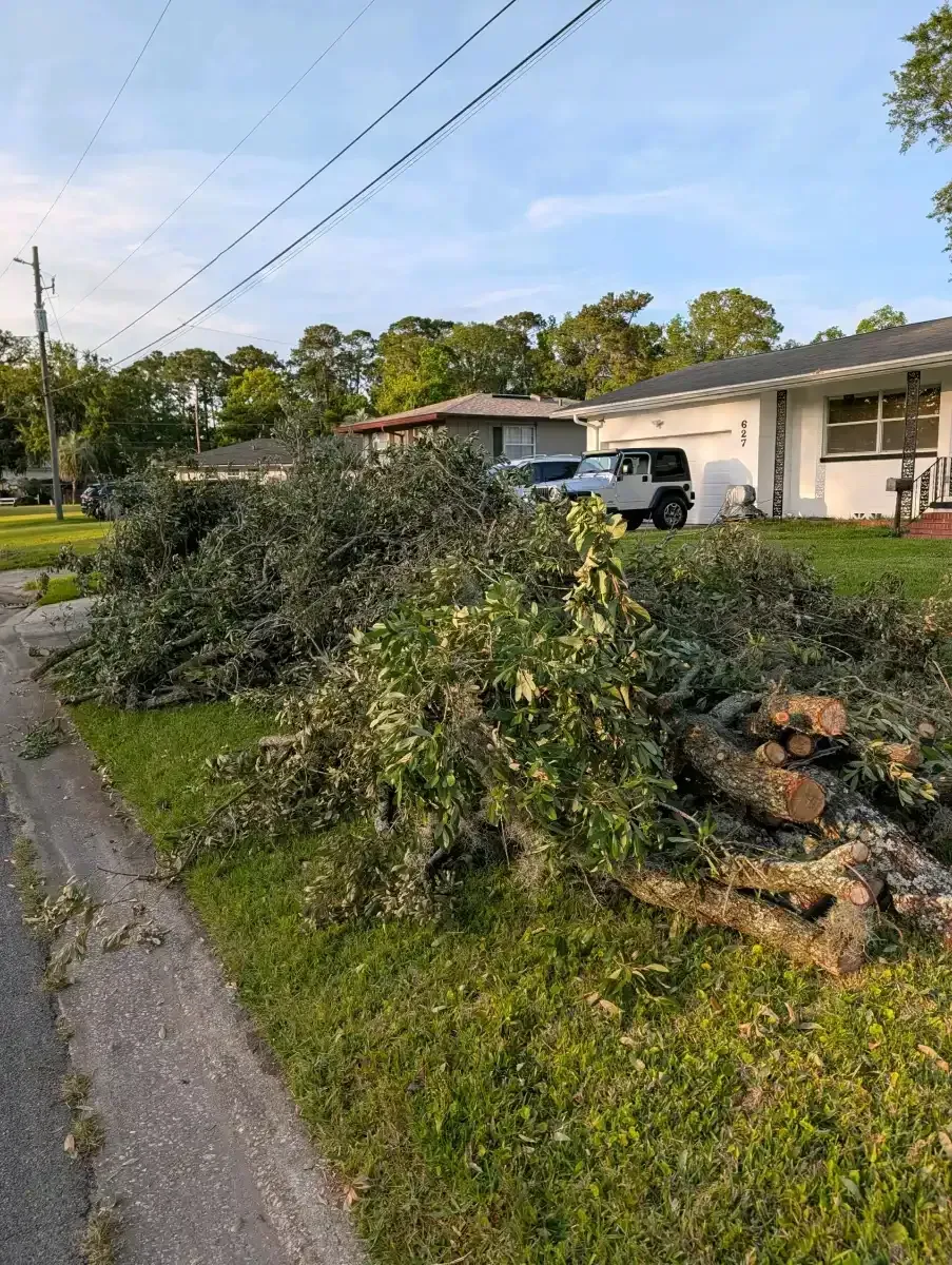 Fallen tree branches and debris piled on a suburban lawn beside a driveway and house