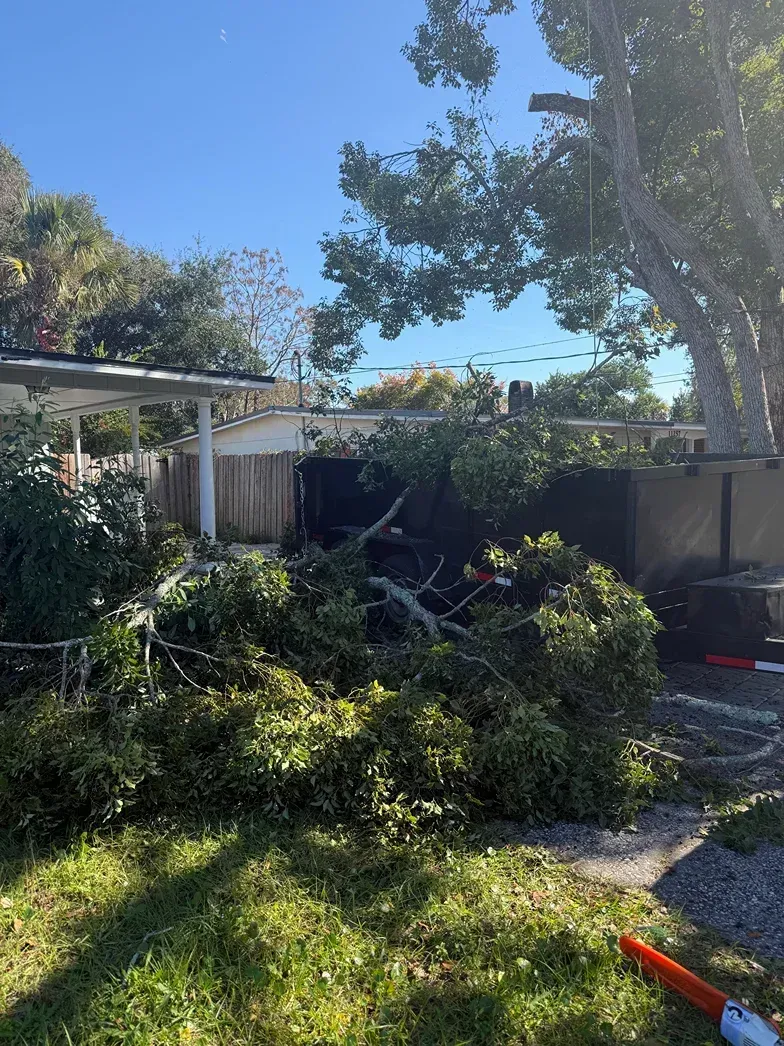 Storm-damaged backyard with fallen tree branches, debris, and a bright blue sky