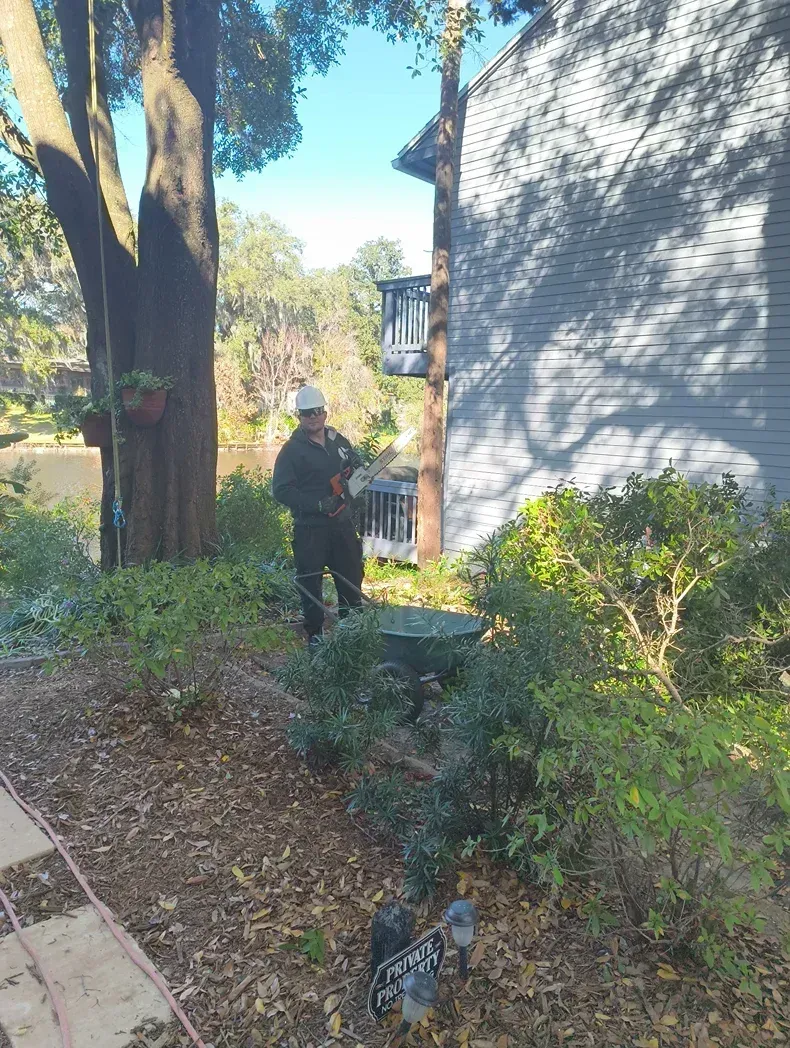 Person standing on a garden path beside shrubs and a gray house in bright daylight